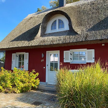 Ferienhaus Greta 格洛威 外观 照片